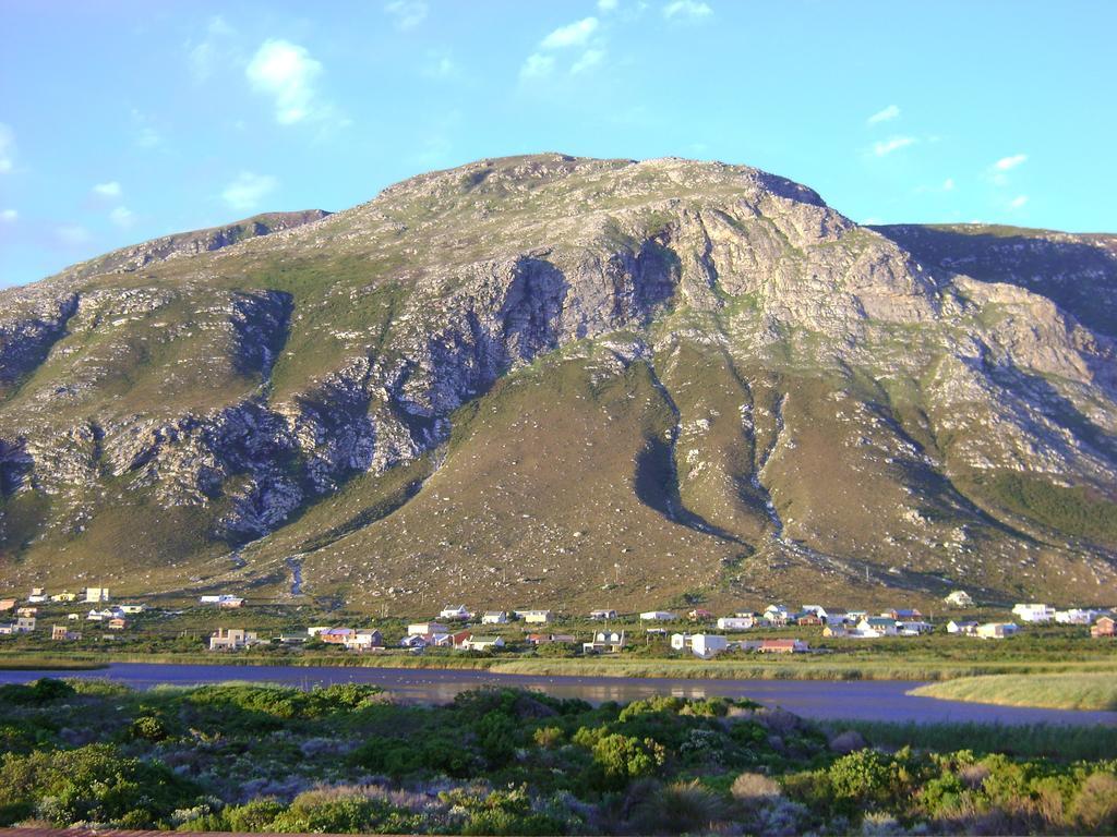 Vlei Studio Apartment Bettys Bay Exterior photo